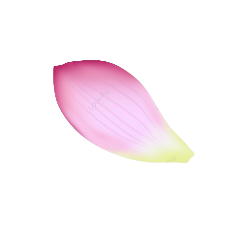 Leaf 1